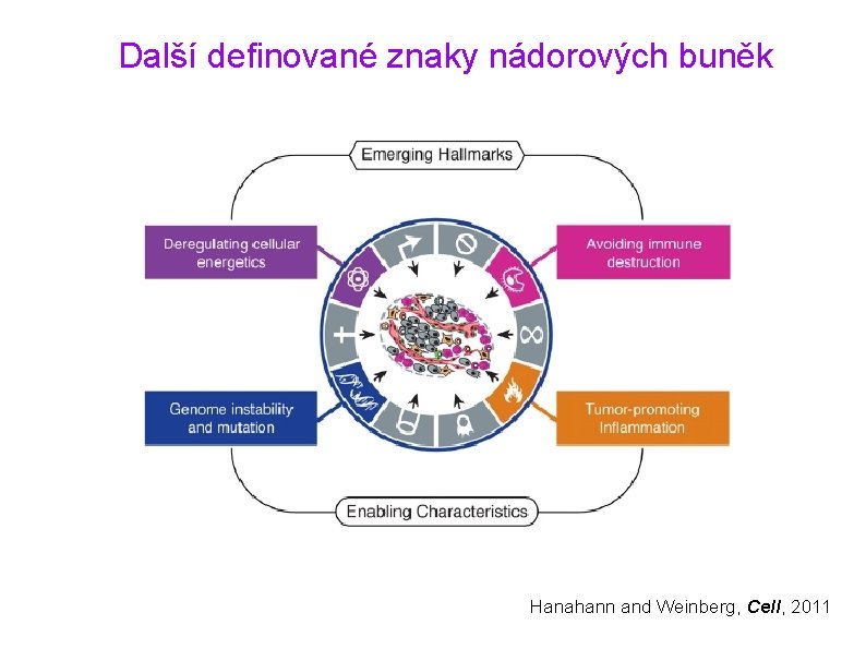 Další definované znaky nádorových buněk Hanahann and Weinberg, Cell, 2011 