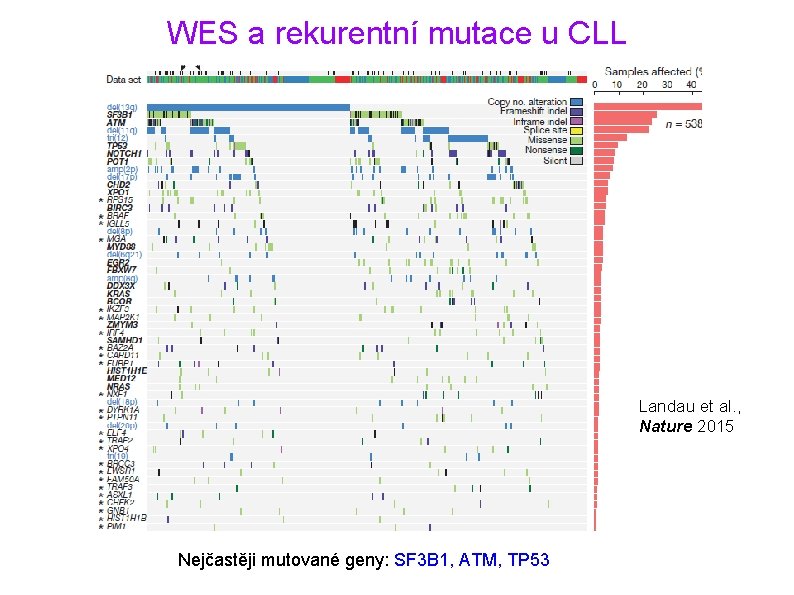 WES a rekurentní mutace u CLL Landau et al. , Nature 2015 Nejčastěji mutované