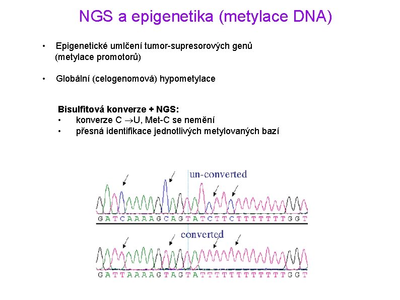 NGS a epigenetika (metylace DNA) • Epigenetické umlčení tumor-supresorových genů (metylace promotorů) • Globální