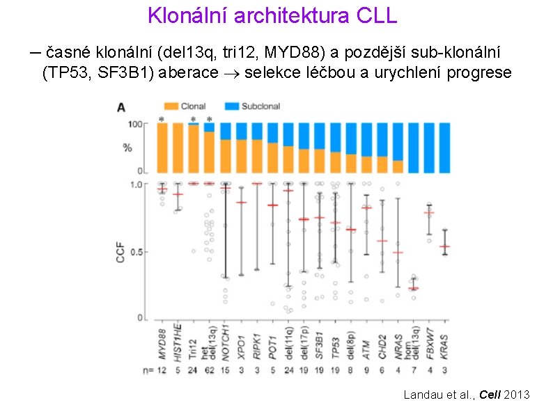 Klonální architektura CLL – časné klonální (del 13 q, tri 12, MYD 88) a