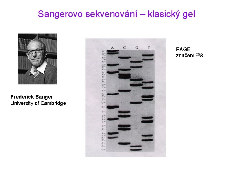 Sangerovo sekvenování – klasický gel PAGE značení 35 S Frederick Sanger University of Cambridge