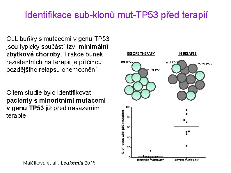 Identifikace sub-klonů mut-TP 53 před terapií CLL buňky s mutacemi v genu TP 53