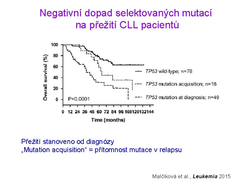 Negativní dopad selektovaných mutací na přežití CLL pacientů Přežití stanoveno od diagnózy „Mutation acquisition“