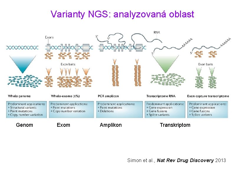 Varianty NGS: analyzovaná oblast Genom Exom Amplikon Transkriptom Simon et al. , Nat Rev