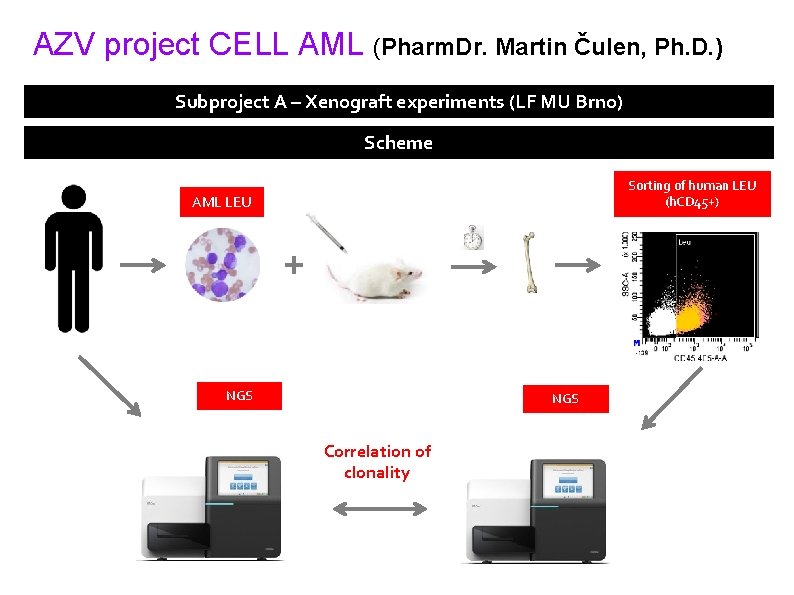 AZV project CELL AML (Pharm. Dr. Martin Čulen, Ph. D. ) Subproject A –