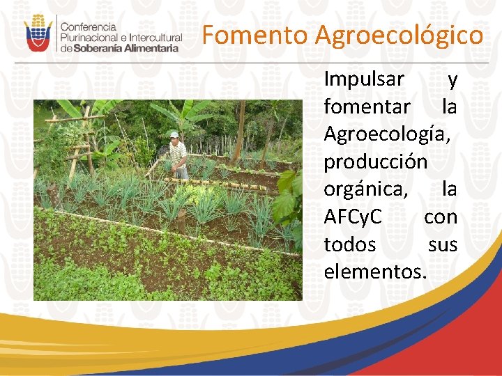 Fomento Agroecológico Impulsar y fomentar la Agroecología, producción orgánica, la AFCy. C con todos