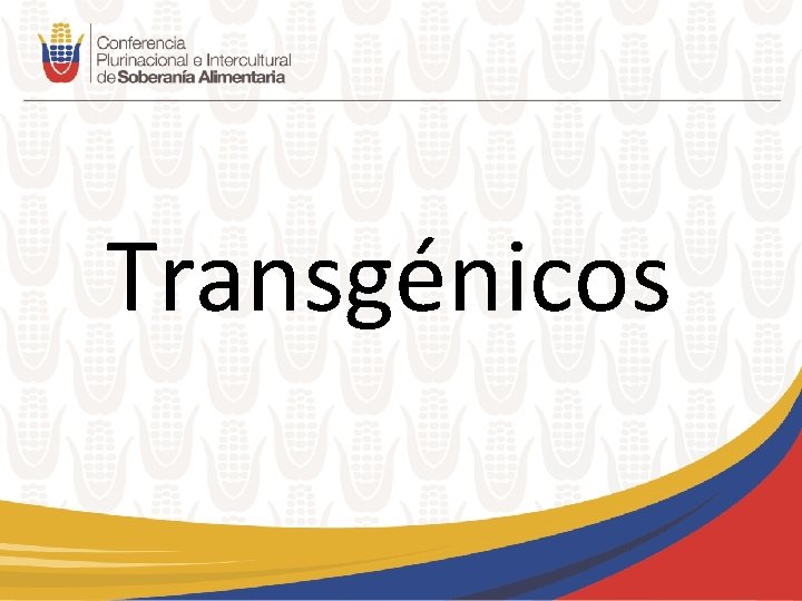 Transgénicos 