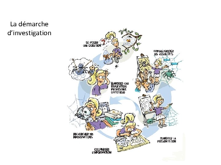 La démarche d’investigation 