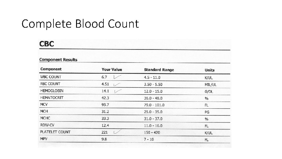 Complete Blood Count 