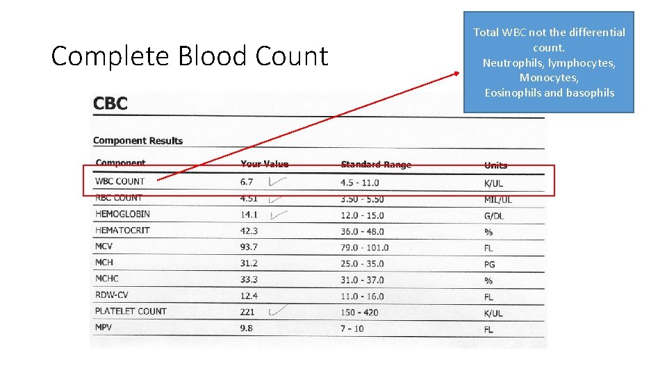 Complete Blood Count Total WBC not the differential count. Neutrophils, lymphocytes, Monocytes, Eosinophils and