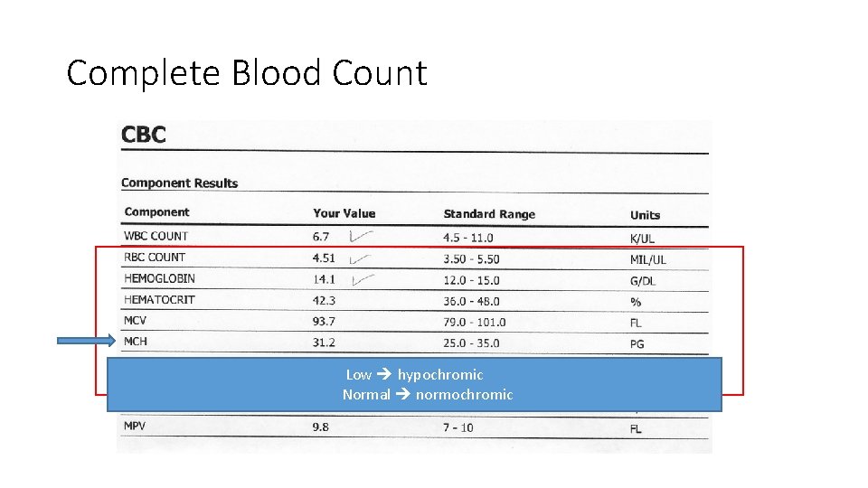 Complete Blood Count Low hypochromic Normal normochromic 