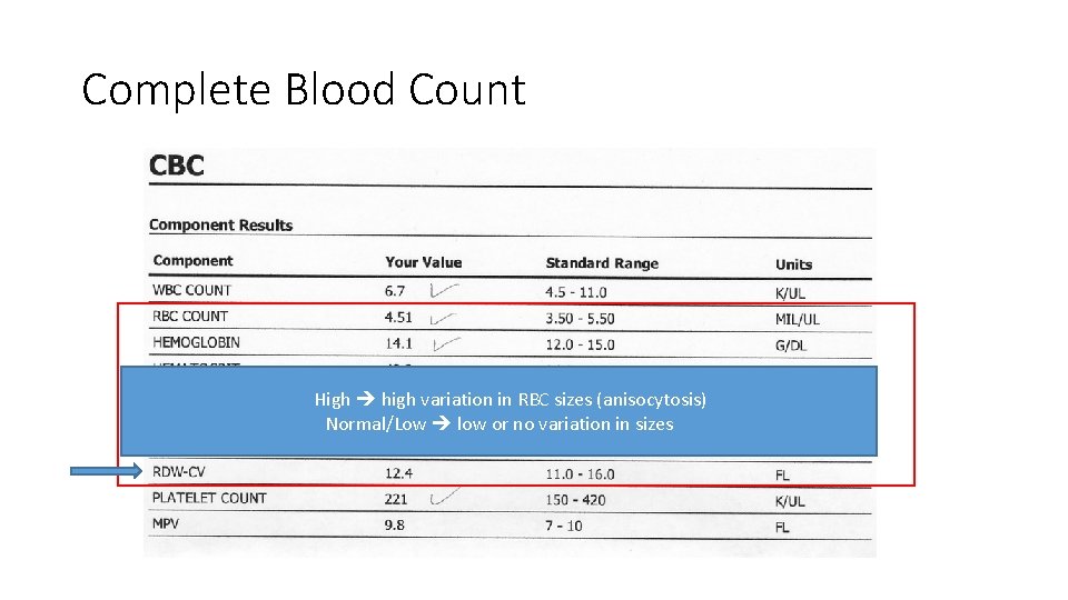 Complete Blood Count High high variation in RBC sizes (anisocytosis) Normal/Low low or no