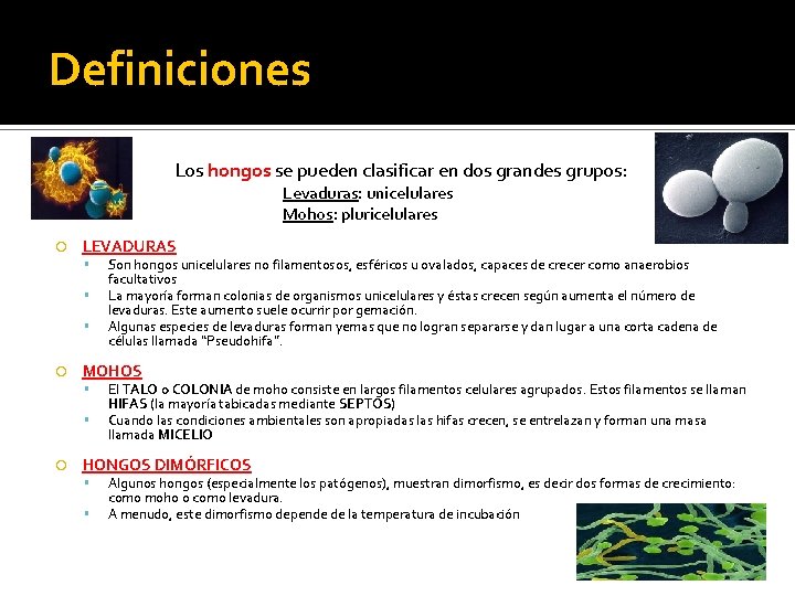 Definiciones Los hongos se pueden clasificar en dos grandes grupos: Levaduras: unicelulares Mohos: pluricelulares