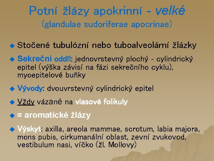 Potní žlázy apokrinní - velké (glandulae sudoriferae apocrinae) u Stočené tubulózní nebo tuboalveolární žlázky