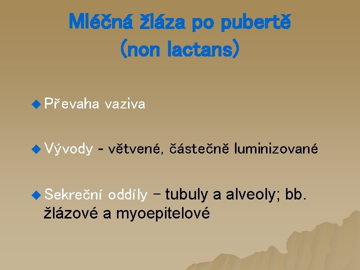 Mléčná žláza po pubertě (non lactans) u Převaha u Vývody vaziva - větvené, částečně