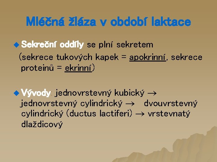 Mléčná žláza v období laktace u Sekreční oddíly se plní sekretem (sekrece tukových kapek