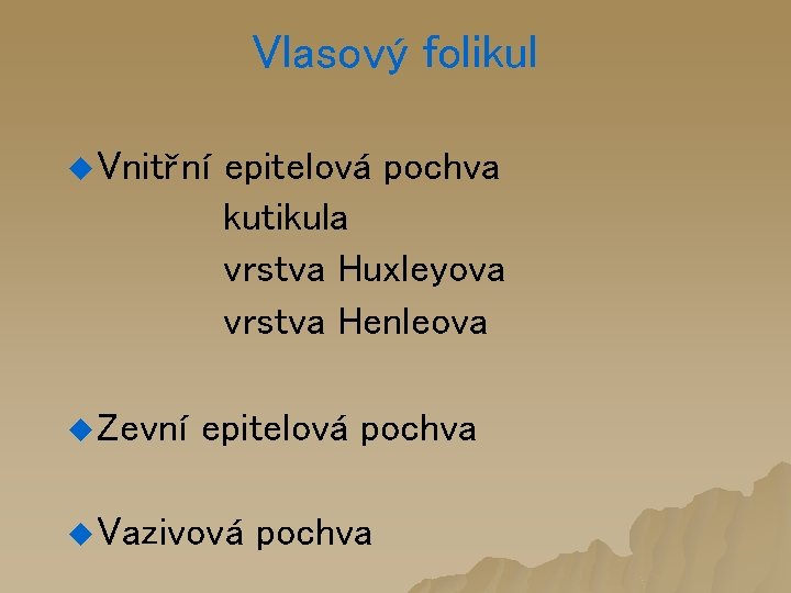 Vlasový folikul u Vnitřní u Zevní epitelová pochva kutikula vrstva Huxleyova vrstva Henleova epitelová