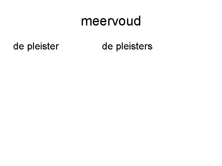 meervoud de pleisters 