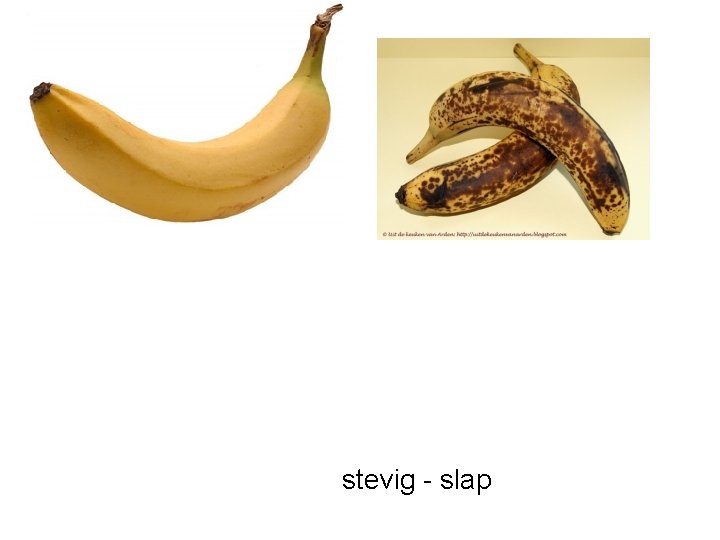 stevig - slap 