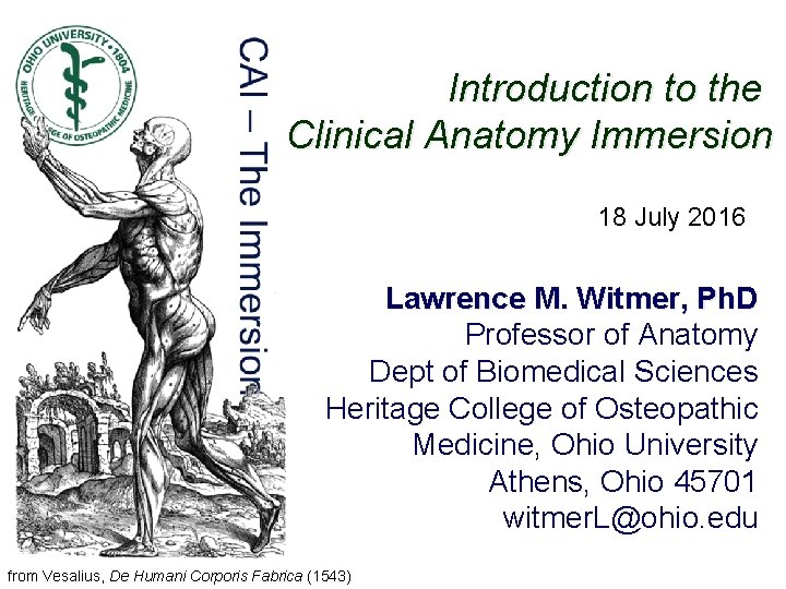 Introduction to the Clinical Anatomy Immersion 18 July 2016 Lawrence M. Witmer, Ph. D