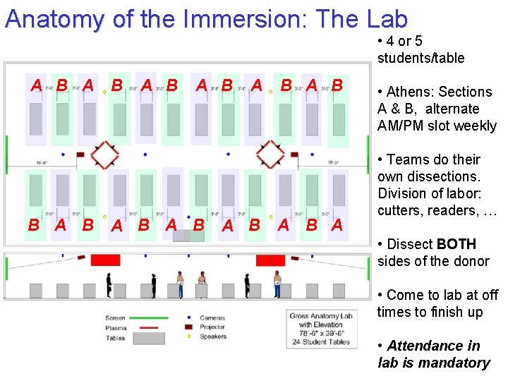 Anatomy of the Immersion: The Lab • 4 or 5 students/table A B A