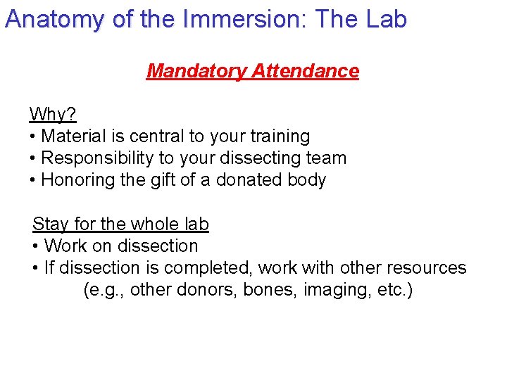 Anatomy of the Immersion: The Lab Mandatory Attendance Why? • Material is central to