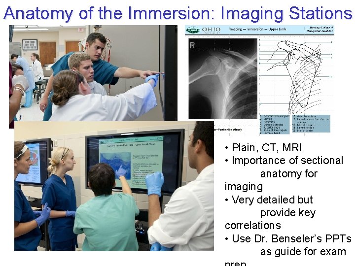 Anatomy of the Immersion: Imaging Stations • Plain, CT, MRI • Importance of sectional