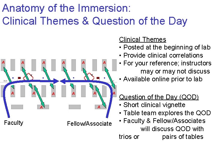 Anatomy of the Immersion: Clinical Themes & Question of the Day A A A