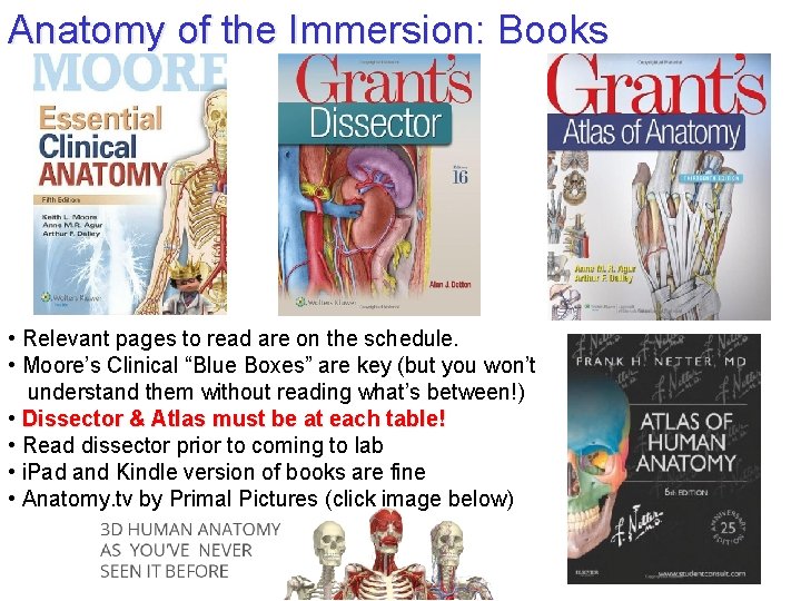 Anatomy of the Immersion: Books • Relevant pages to read are on the schedule.