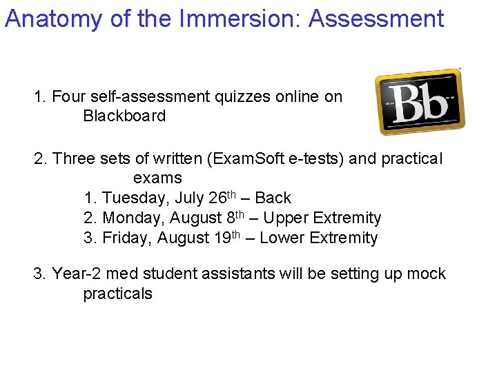 Anatomy of the Immersion: Assessment 1. Four self-assessment quizzes online on Blackboard 2. Three