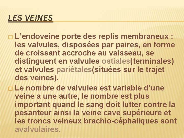 LES VEINES � L’endoveine porte des replis membraneux : les valvules, disposées par paires,