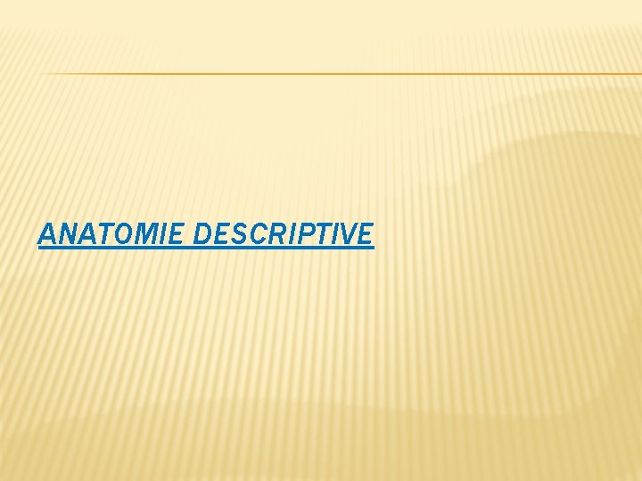 ANATOMIE DESCRIPTIVE 