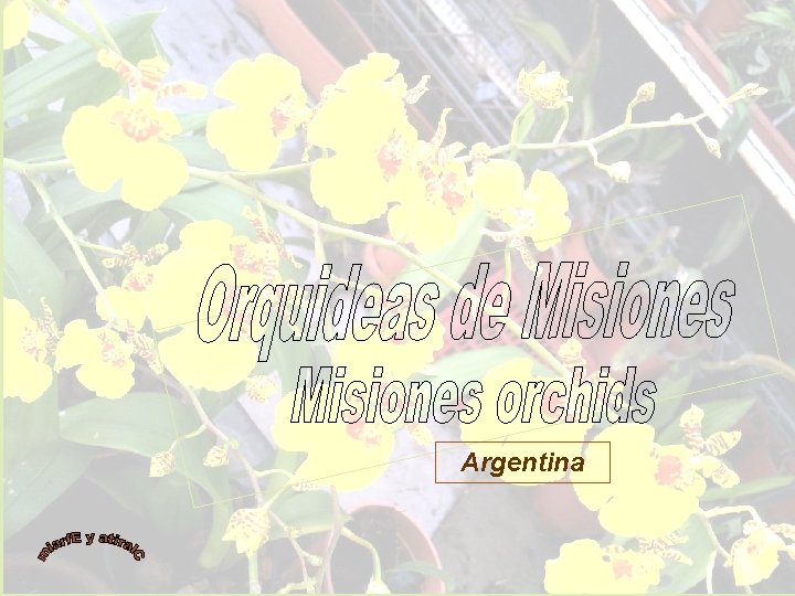 Argentina 