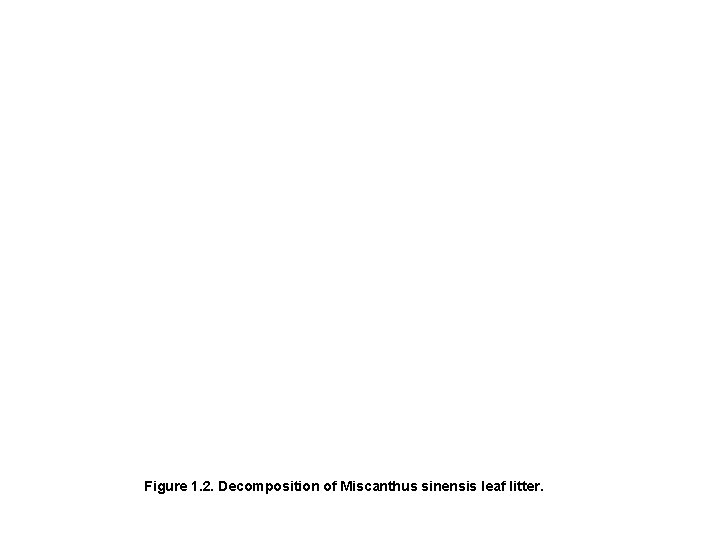 Figure 1. 2. Decomposition of Miscanthus sinensis leaf litter. 