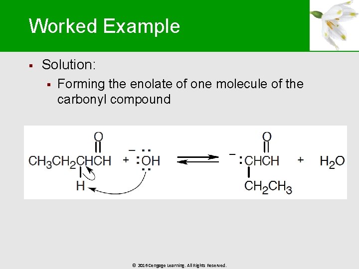 Worked Example § Solution: § Forming the enolate of one molecule of the carbonyl