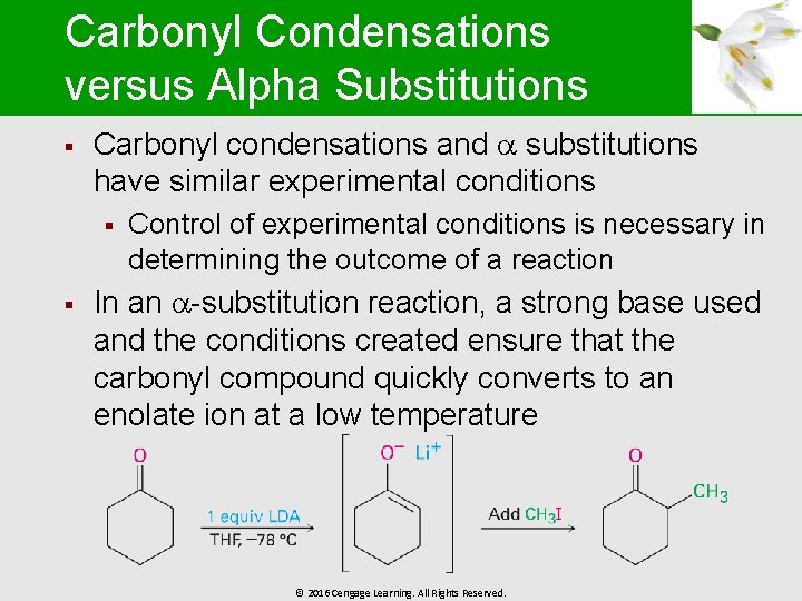 Carbonyl Condensations versus Alpha Substitutions § Carbonyl condensations and substitutions have similar experimental conditions