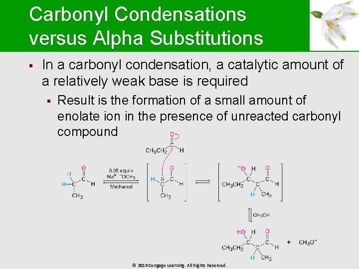 Carbonyl Condensations versus Alpha Substitutions § In a carbonyl condensation, a catalytic amount of