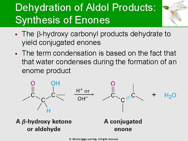 Dehydration of Aldol Products: Synthesis of Enones § § The -hydroxy carbonyl products dehydrate