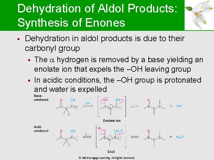 Dehydration of Aldol Products: Synthesis of Enones § Dehydration in aldol products is due