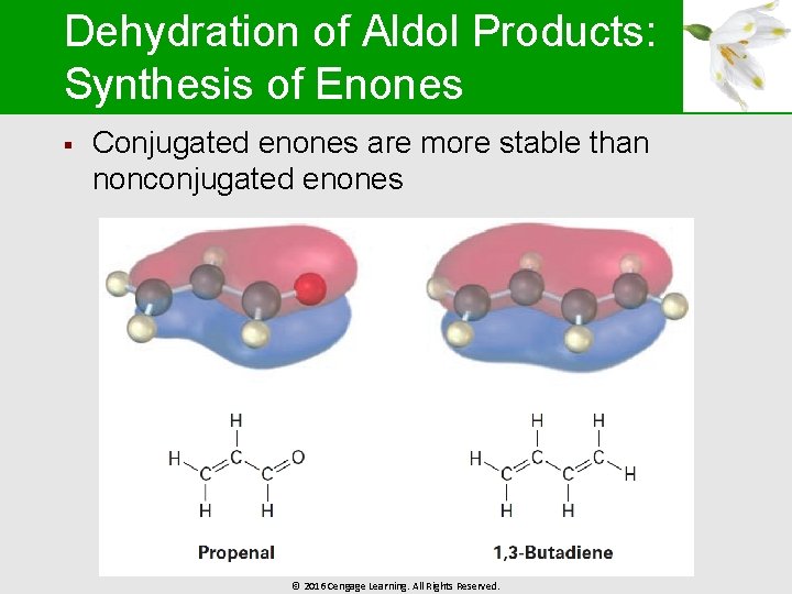 Dehydration of Aldol Products: Synthesis of Enones § Conjugated enones are more stable than
