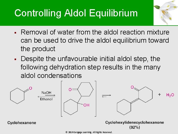 Controlling Aldol Equilibrium § § Removal of water from the aldol reaction mixture can