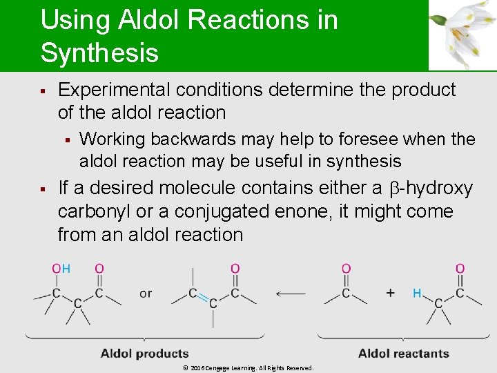 Using Aldol Reactions in Synthesis § Experimental conditions determine the product of the aldol