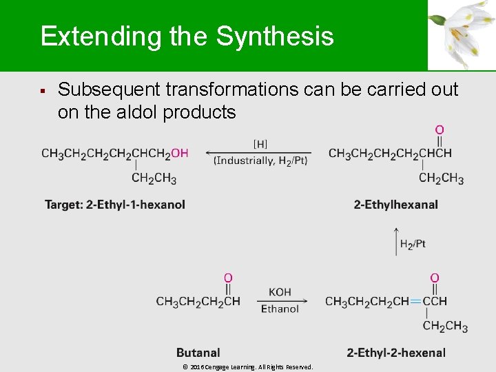 Extending the Synthesis § Subsequent transformations can be carried out on the aldol products