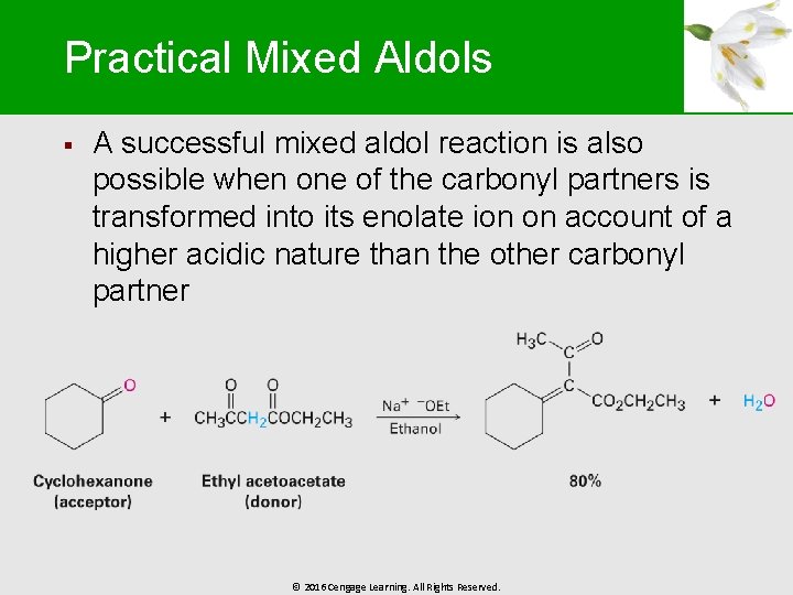 Practical Mixed Aldols § A successful mixed aldol reaction is also possible when one