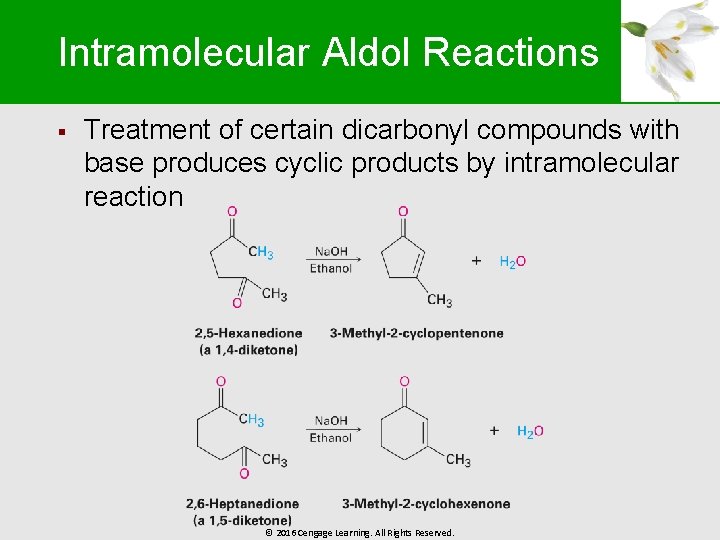 Intramolecular Aldol Reactions § Treatment of certain dicarbonyl compounds with base produces cyclic products