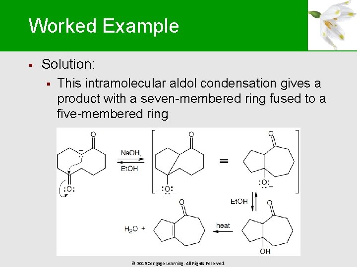 Worked Example § Solution: § This intramolecular aldol condensation gives a product with a