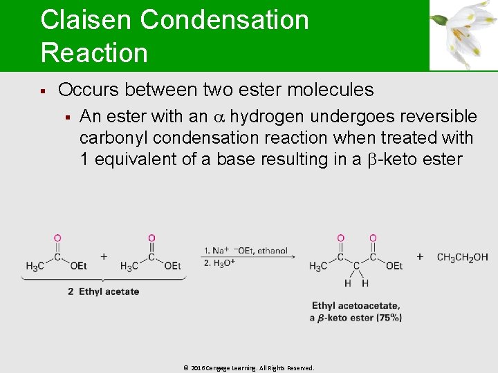 Claisen Condensation Reaction § Occurs between two ester molecules § An ester with an