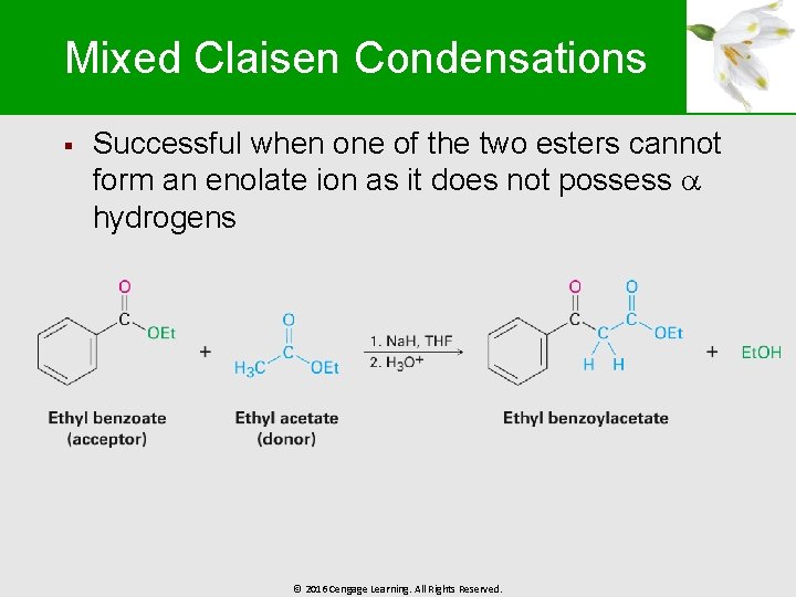 Mixed Claisen Condensations § Successful when one of the two esters cannot form an