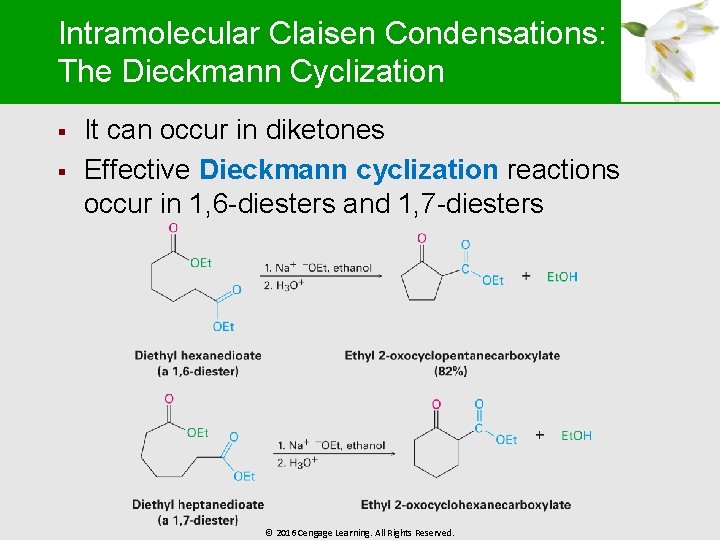 Intramolecular Claisen Condensations: The Dieckmann Cyclization § § It can occur in diketones Effective