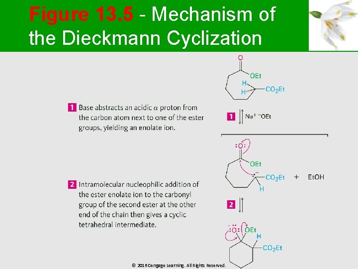 Figure 13. 5 - Mechanism of the Dieckmann Cyclization © 2016 Cengage Learning. All